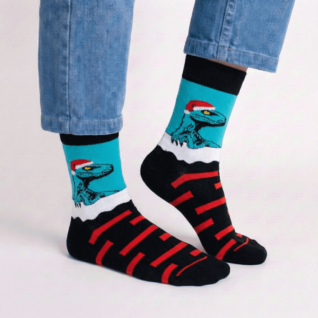 Dinsour Socks - Microbus store