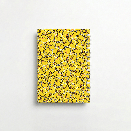 Duck Sketchbook - Microbus store