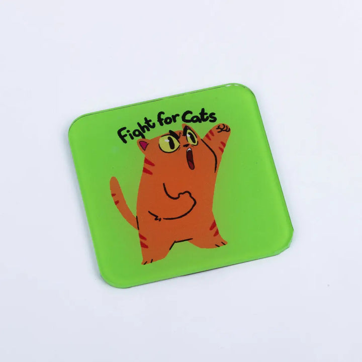 Coaster fight for cat Microbus store