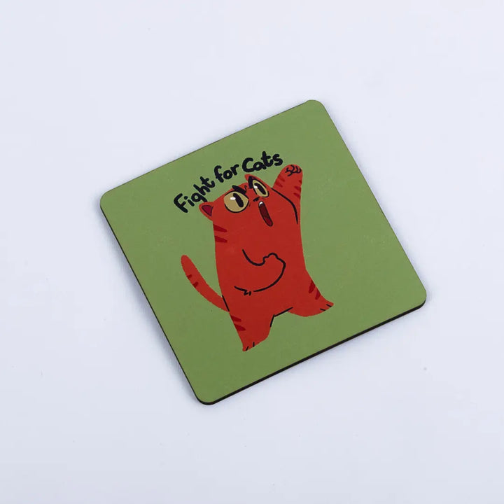 Coaster fight for cat Microbus store